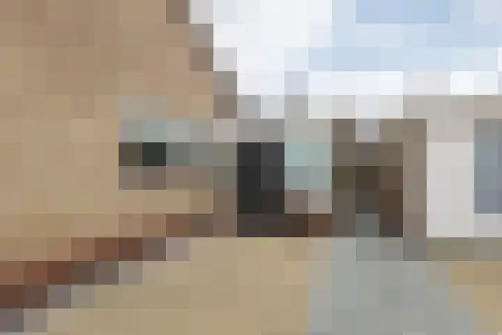 De Terpen 9 Bolsward thumbnail 6