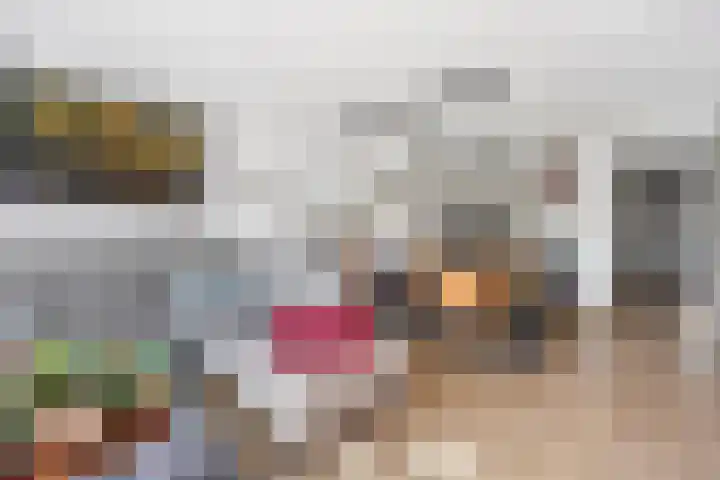De Terpen 9 Waalwijk thumbnail 10
