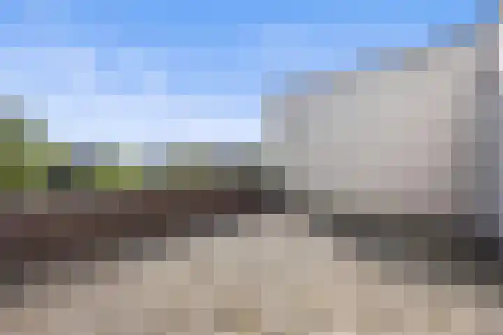 De Terpen 9 Waalwijk thumbnail 28
