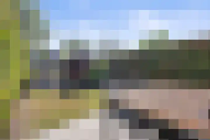 De Terpen 9 Waalwijk thumbnail 30