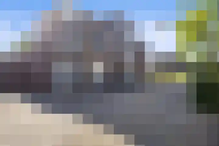 De Terpen 9 Waalwijk thumbnail 33