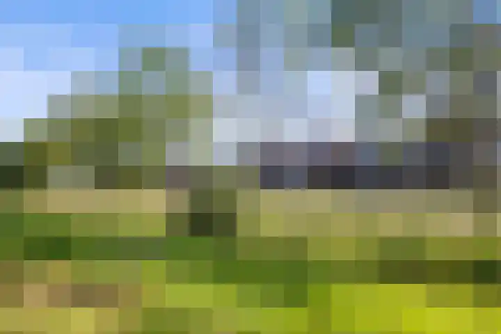 De Terpen 9 Waalwijk thumbnail 35
