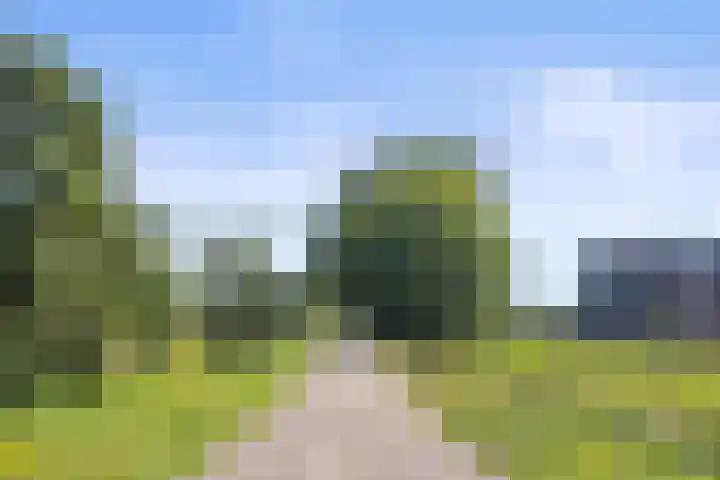 De Terpen 9 Waalwijk thumbnail 37