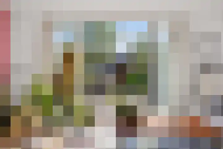 De Terpen 9 Waalwijk thumbnail 8