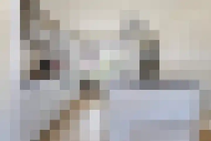 De Terrassen 28 Apeldoorn thumbnail 11