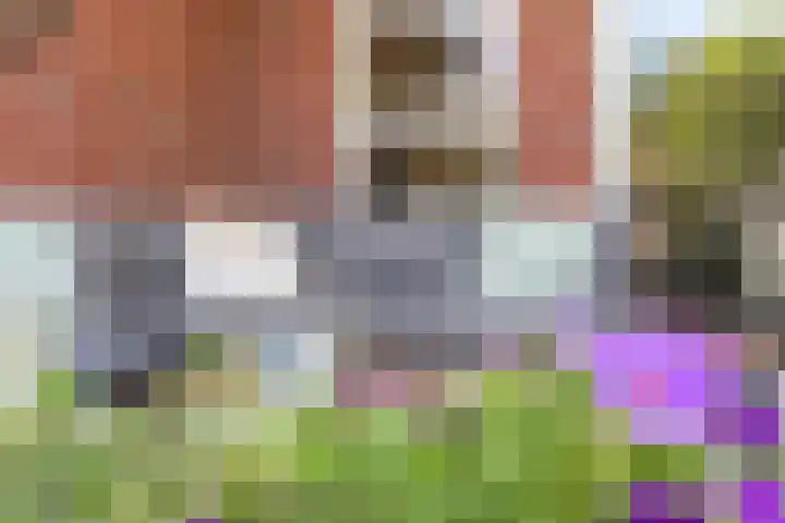 De Terrassen 28 Apeldoorn thumbnail 17