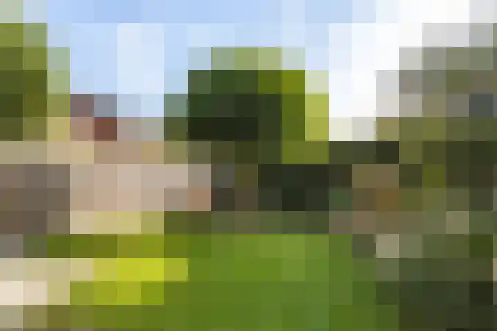 De Terrassen 28 Apeldoorn thumbnail 19
