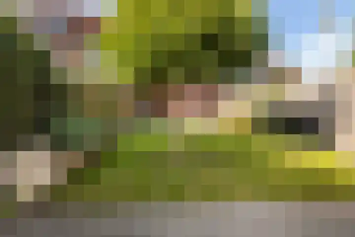 De Terrassen 28 Apeldoorn thumbnail 20
