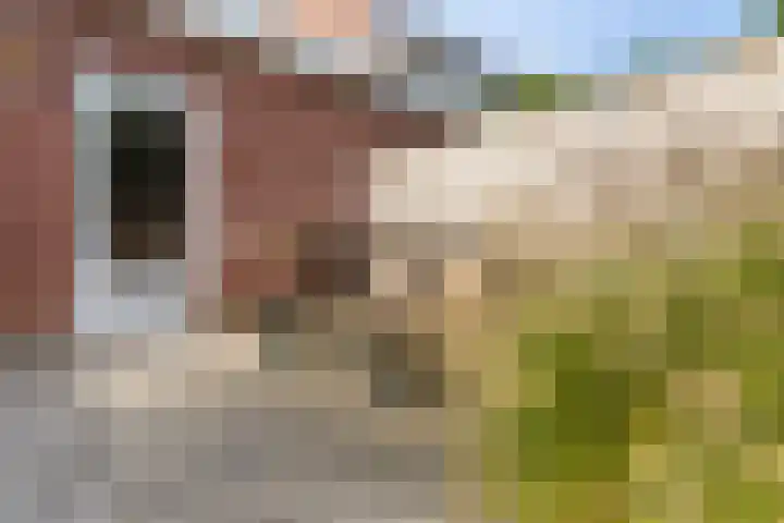 De Terrassen 28 Apeldoorn thumbnail 22