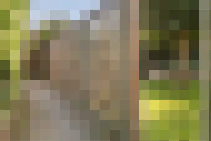 De Terrassen 28 Apeldoorn thumbnail 24