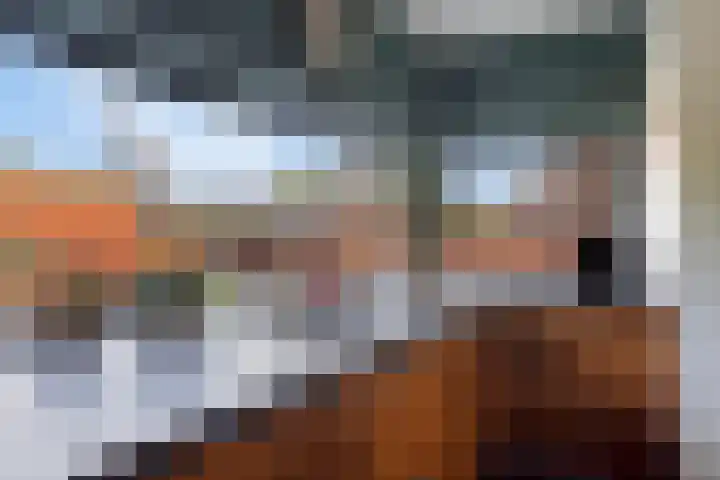 De Tes 15 Beegden thumbnail 10