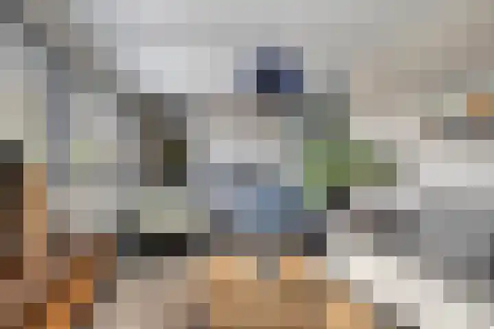 De Tes 15 Beegden thumbnail 17