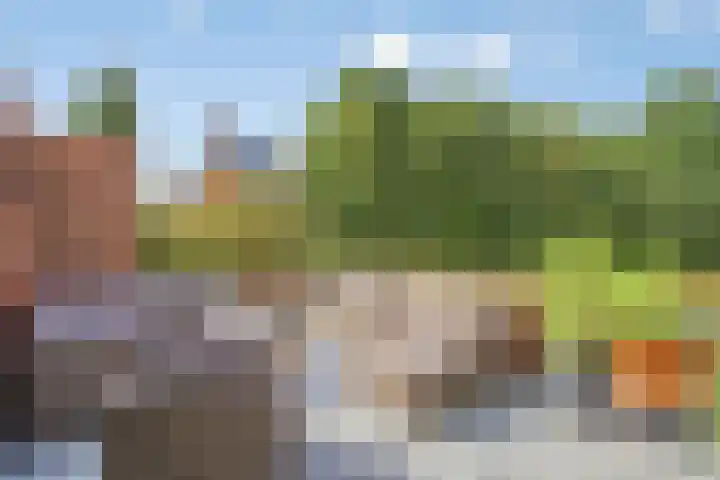 De Tes 15 Beegden thumbnail 18