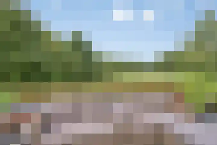 De Tes 15 Beegden thumbnail 19