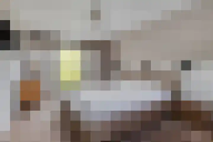 De Tes 15 Beegden thumbnail 20