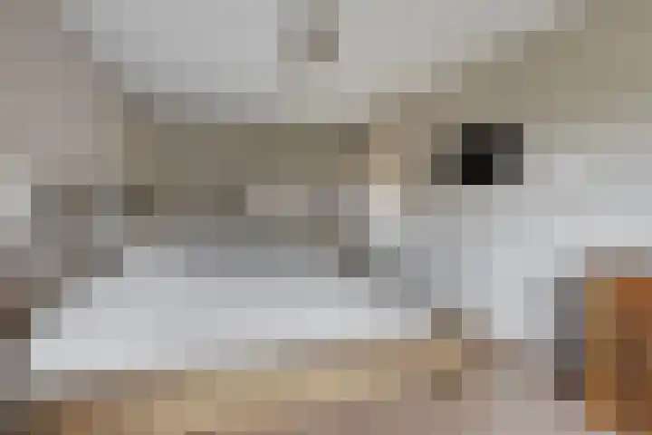De Tes 15 Beegden thumbnail 21