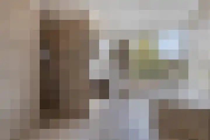 De Tes 15 Beegden thumbnail 22