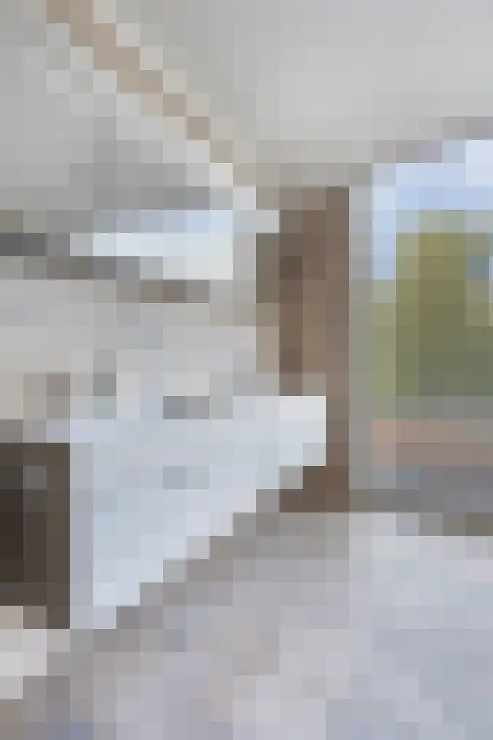 De Tes 15 Beegden thumbnail 23