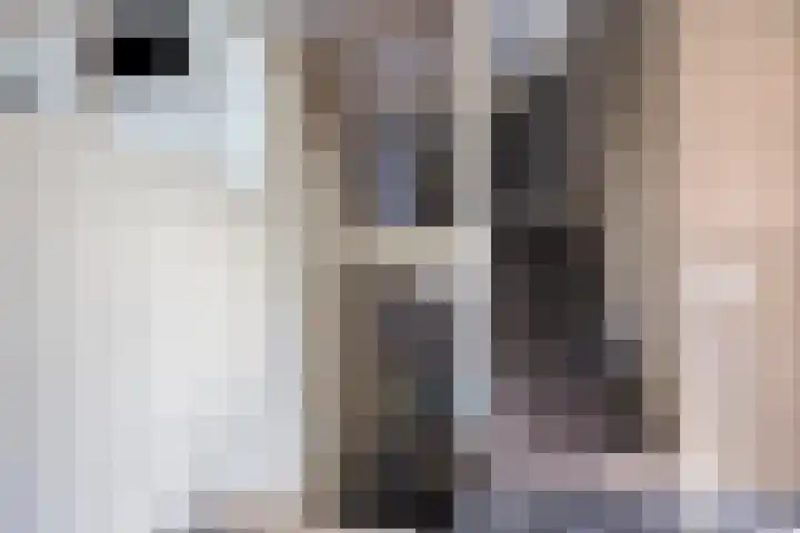 De Tes 15 Beegden thumbnail 26