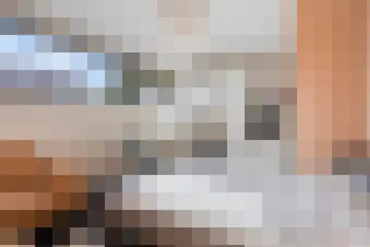 De Tes 15 Beegden thumbnail 27