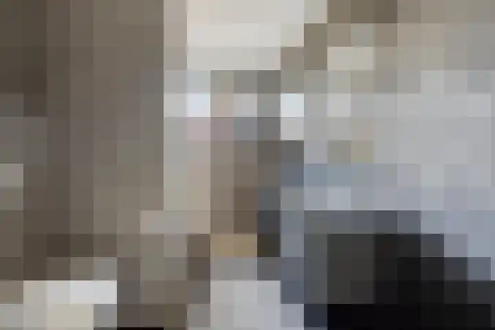 De Tes 15 Beegden thumbnail 34