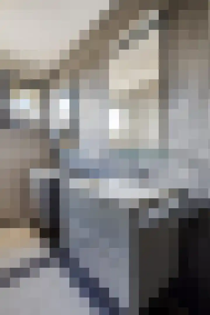 De Tes 15 Beegden thumbnail 35