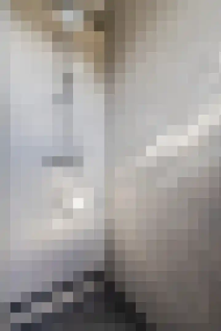 De Tes 15 Beegden thumbnail 36