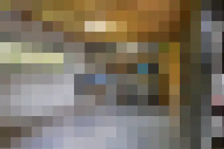 De Tes 15 Beegden thumbnail 39