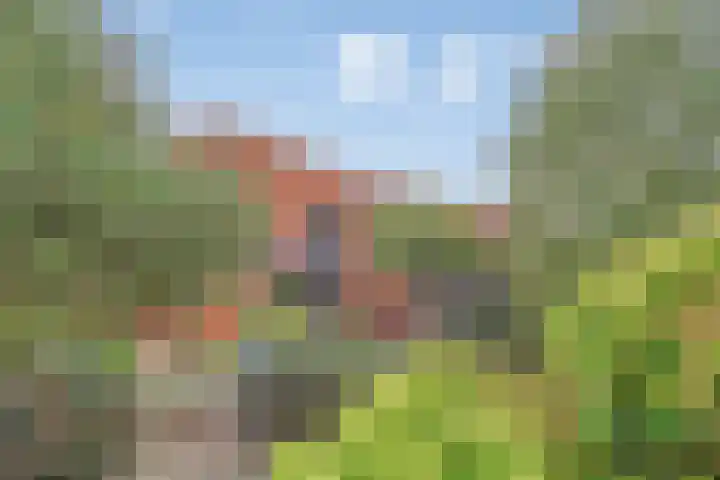 De Tes 15 Beegden thumbnail 41