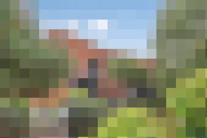 De Tes 15 Beegden thumbnail 42