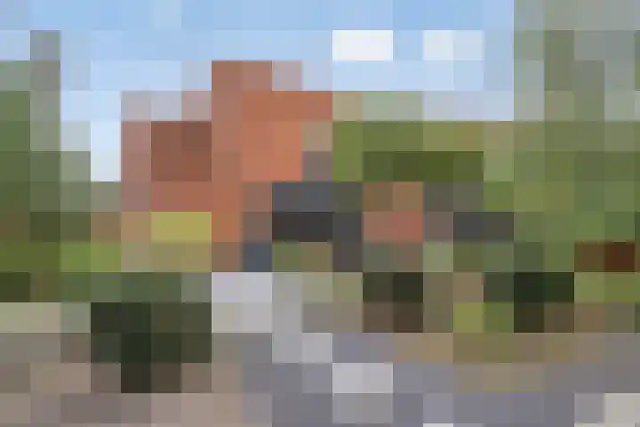 De Tes 15 Beegden thumbnail 43