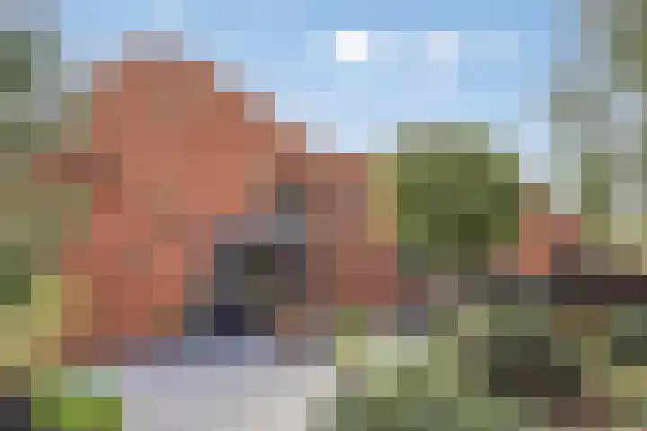De Tes 15 Beegden thumbnail 44