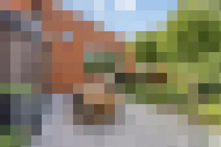 De Tes 15 Beegden thumbnail 45