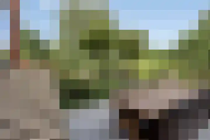 De Tes 15 Beegden thumbnail 46