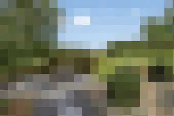 De Tes 15 Beegden thumbnail 47