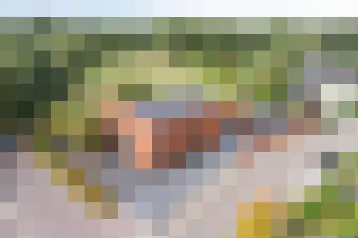 De Tes 15 Beegden thumbnail 53