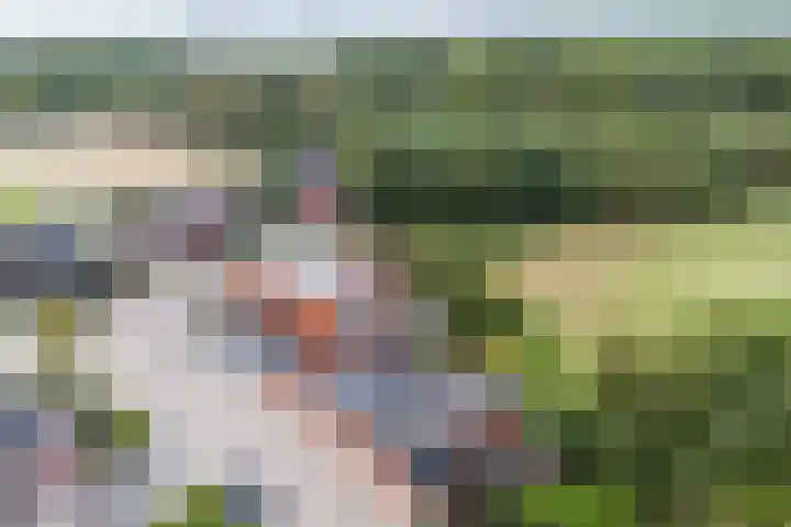 De Tes 15 Beegden thumbnail 54
