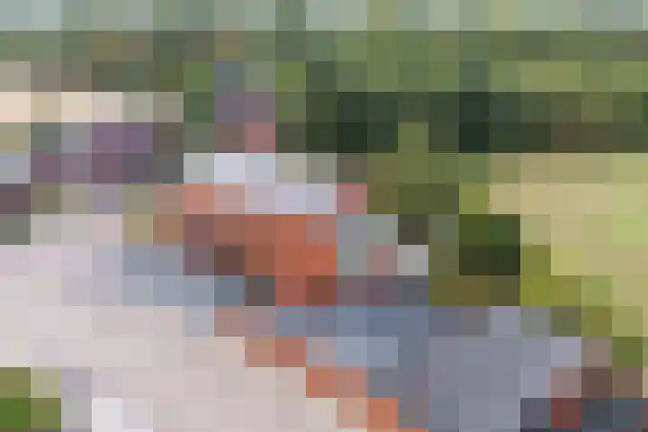 De Tes 15 Beegden thumbnail 55