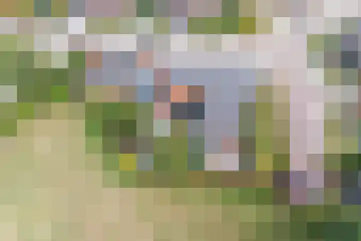 De Tes 15 Beegden thumbnail 59