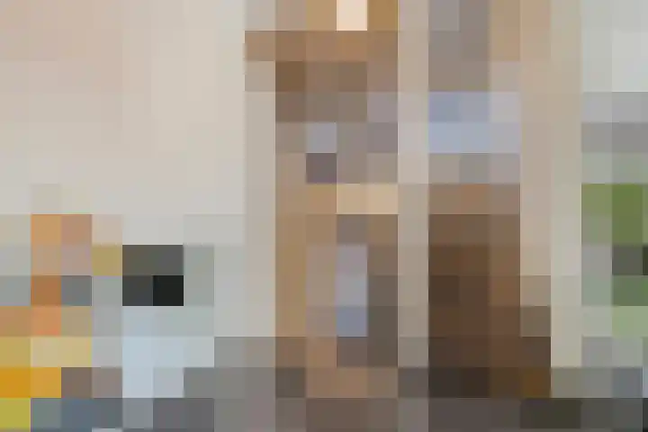 De Tes 15 Beegden thumbnail 6