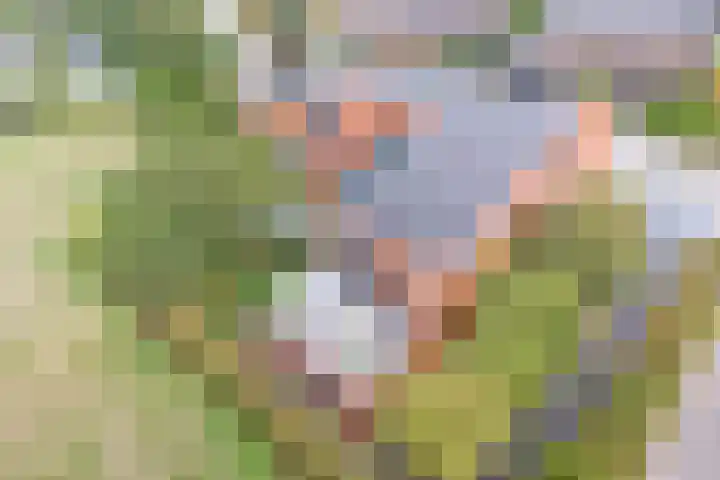 De Tes 15 Beegden thumbnail 60