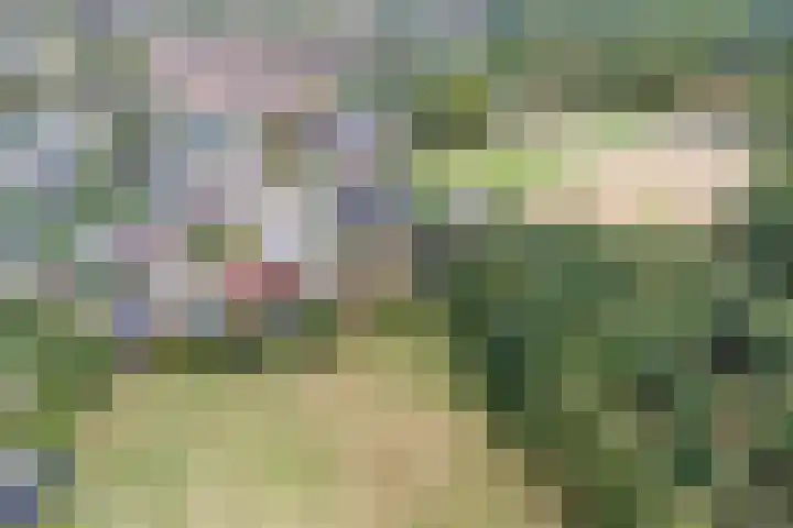 De Tes 15 Beegden thumbnail 61