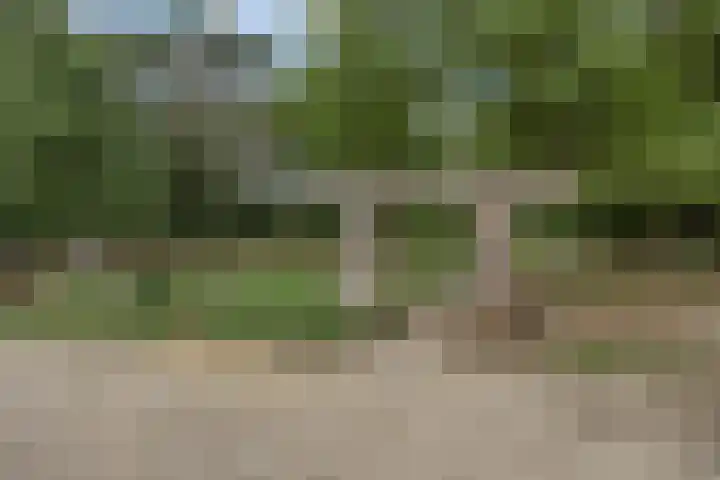 De Tes 15 Beegden thumbnail 62