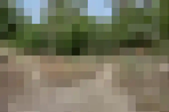 De Tes 15 Beegden thumbnail 63