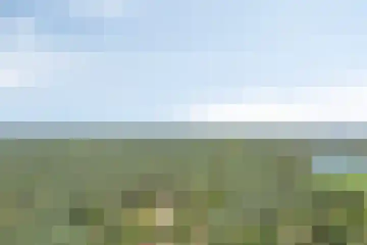 De Tes 15 Beegden thumbnail 64