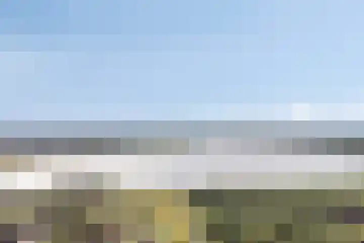 De Tes 15 Beegden thumbnail 65