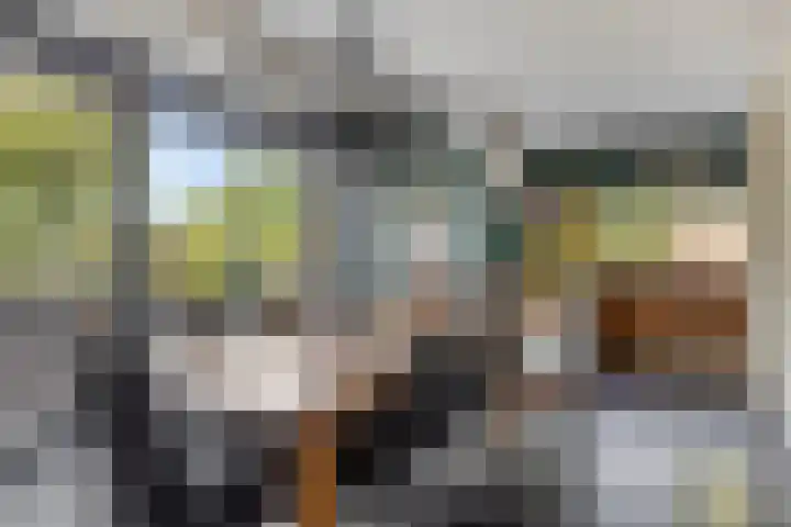 De Tes 15 Beegden thumbnail 7