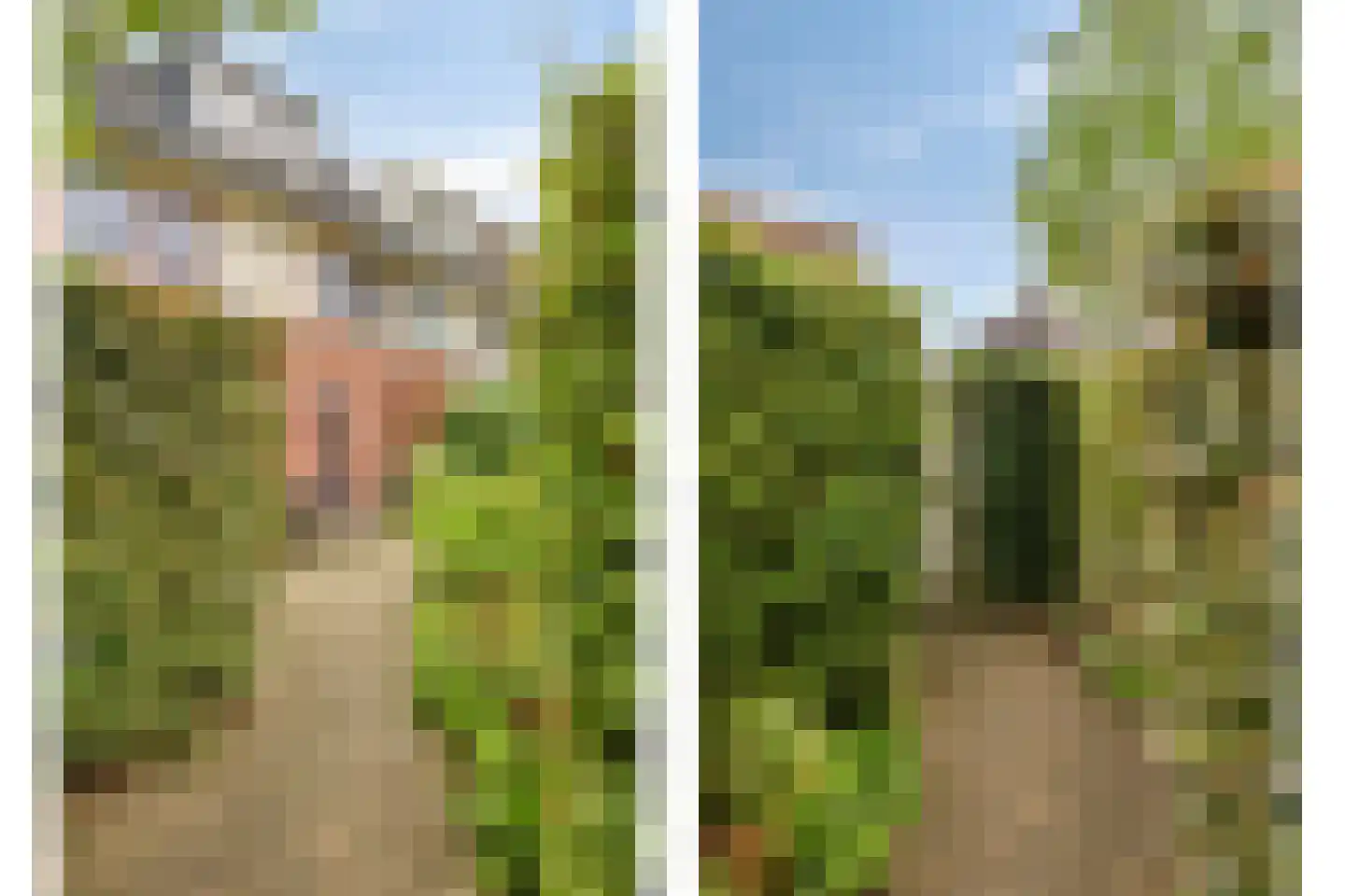 De Teuge 17 Zutphen thumbnail 32
