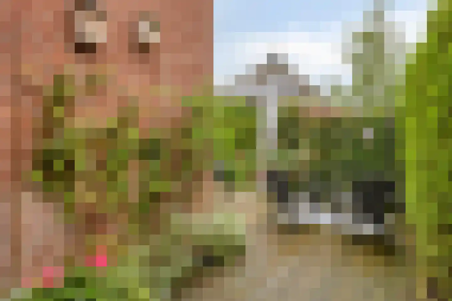 De Teuge 17 Zutphen thumbnail 33