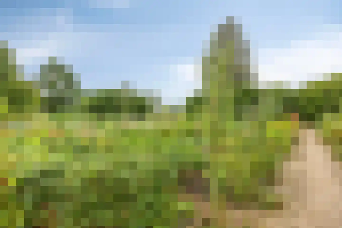 De Teuge 17 Zutphen thumbnail 36
